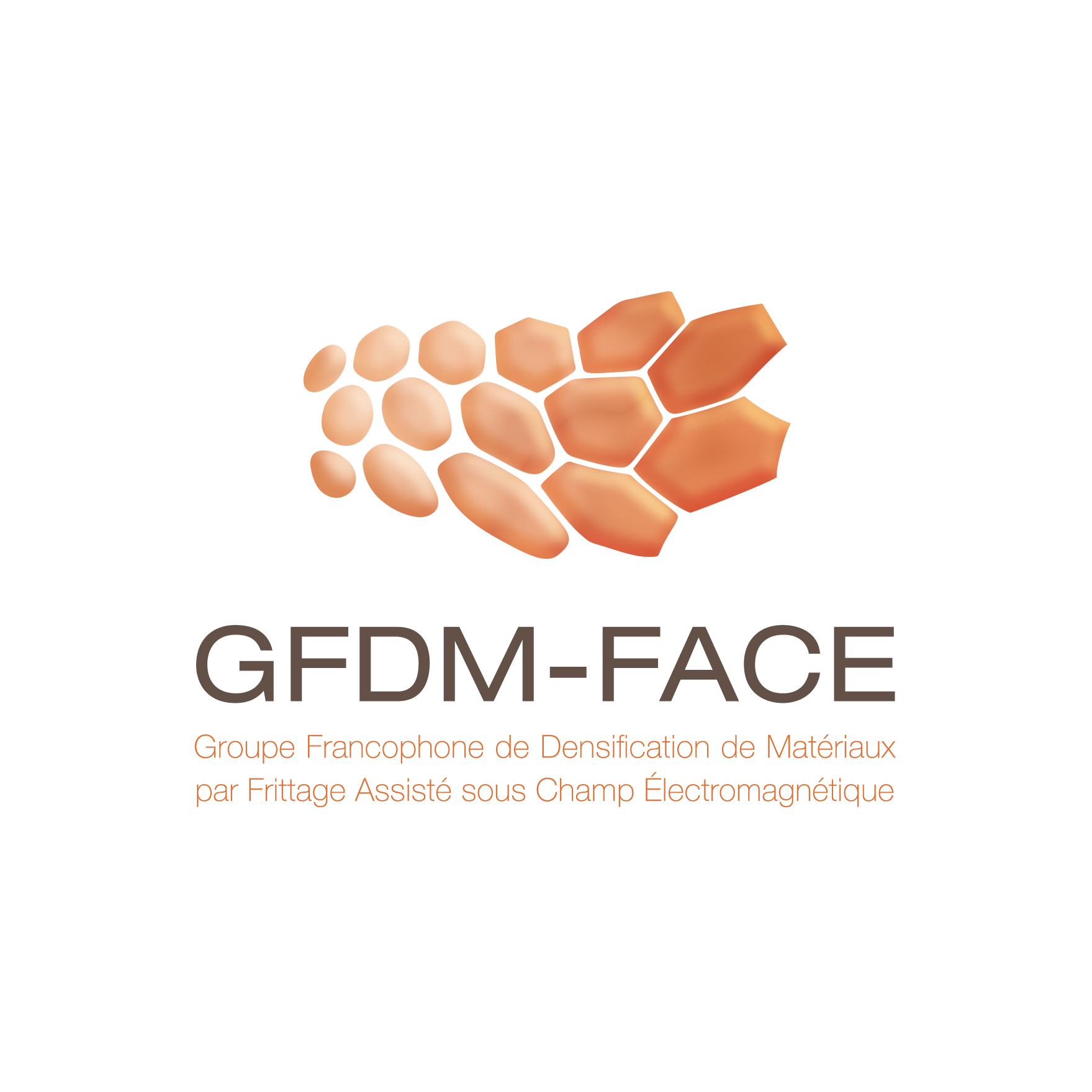 GFDM-FACE